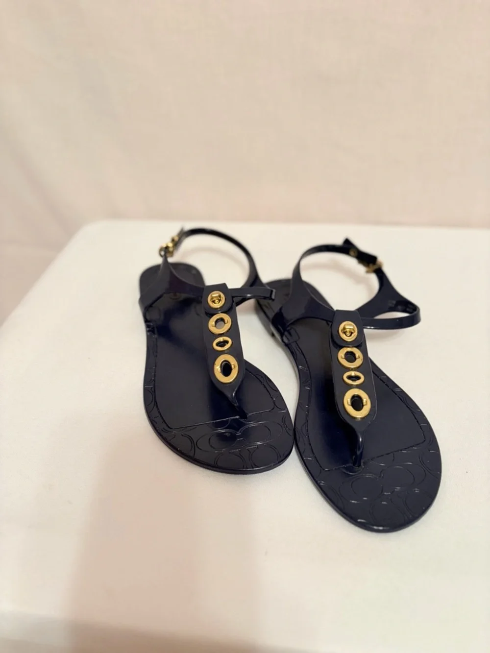 Coach Phila jelly thong sandals in navy blue/gold turnlock and O-ring details